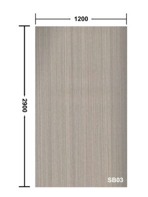 SB03