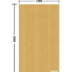 SB05