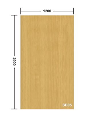 SB05