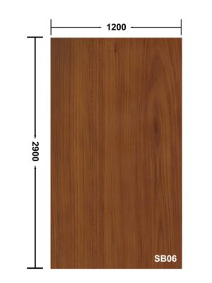 SB06
