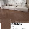 HBN665