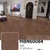 HBN60084